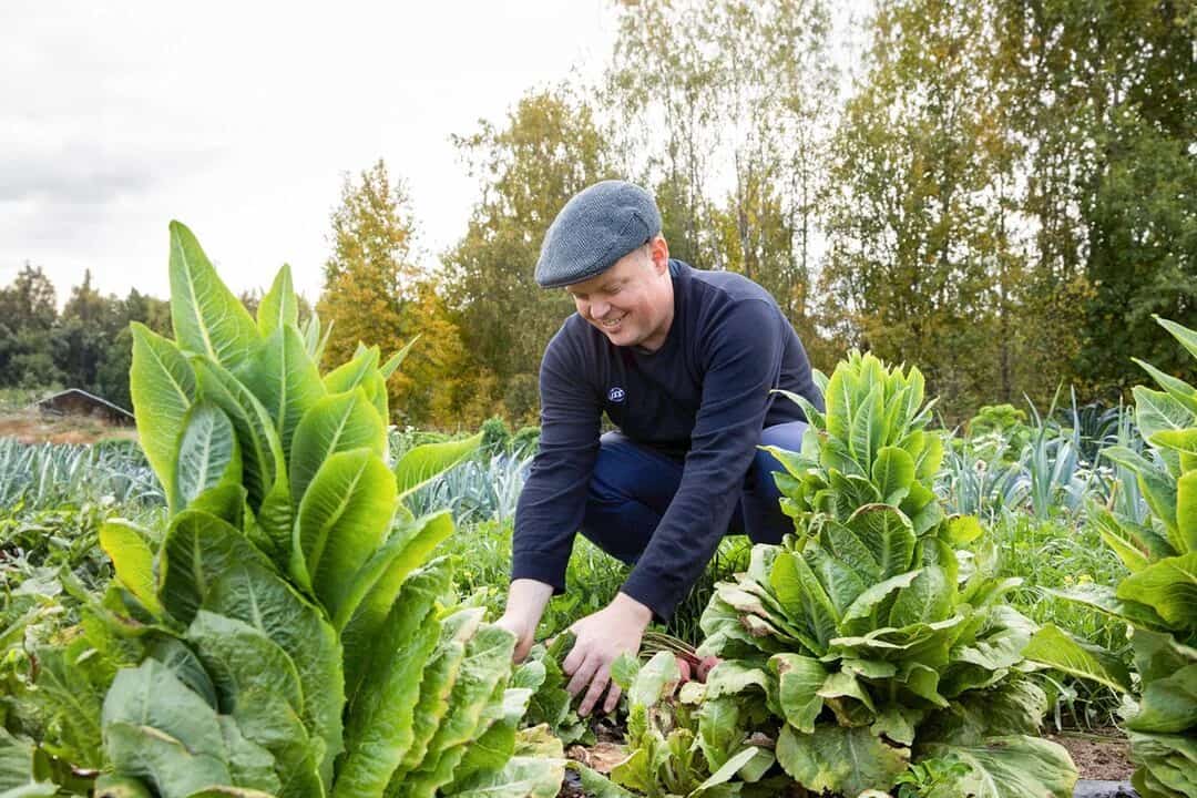 Green city farm.